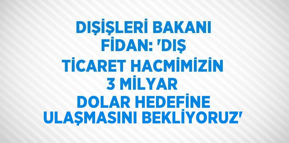 DIŞİŞLERİ BAKANI FİDAN: 'DIŞ TİCARET HACMİMİZİN 3 MİLYAR DOLAR HEDEFİNE ULAŞMASINI BEKLİYORUZ'