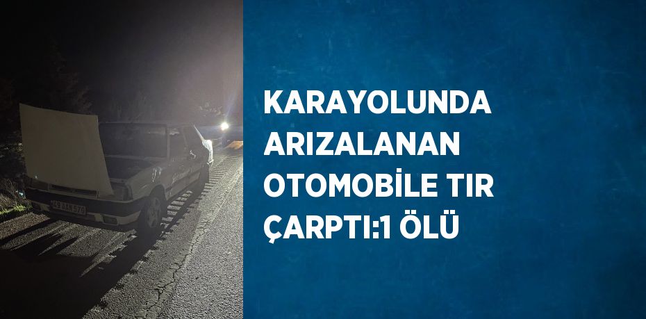 KARAYOLUNDA ARIZALANAN OTOMOBİLE TIR ÇARPTI:1 ÖLÜ