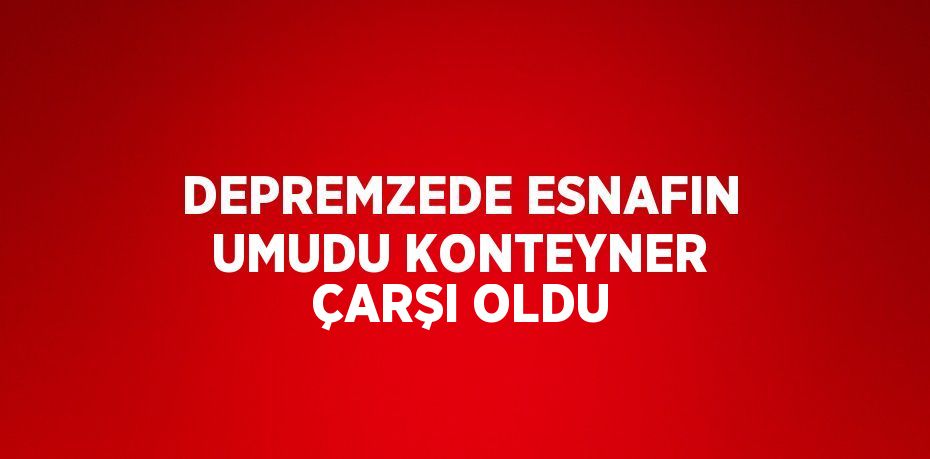 DEPREMZEDE ESNAFIN UMUDU KONTEYNER ÇARŞI OLDU