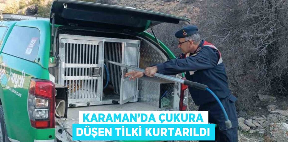 KARAMAN’DA ÇUKURA DÜŞEN TİLKİ KURTARILDI