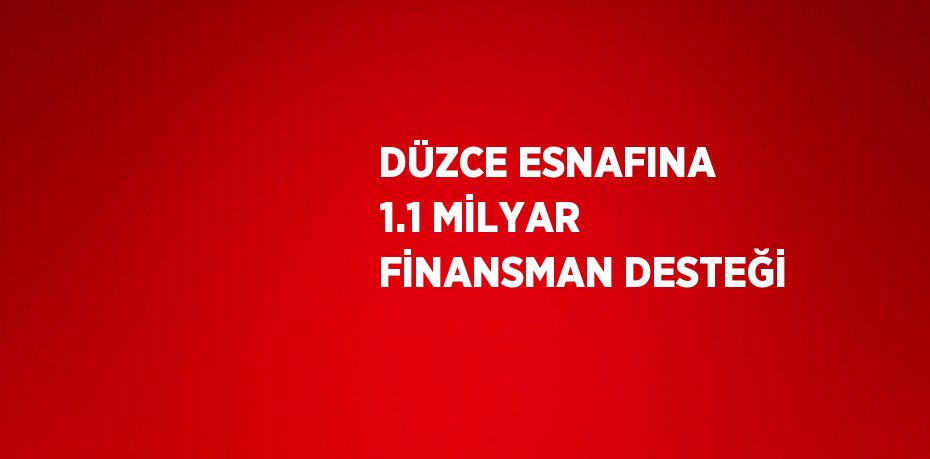 DÜZCE ESNAFINA 1.1 MİLYAR FİNANSMAN DESTEĞİ