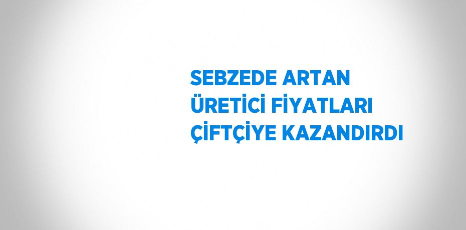 SEBZEDE ARTAN ÜRETİCİ FİYATLARI ÇİFTÇİYE KAZANDIRDI