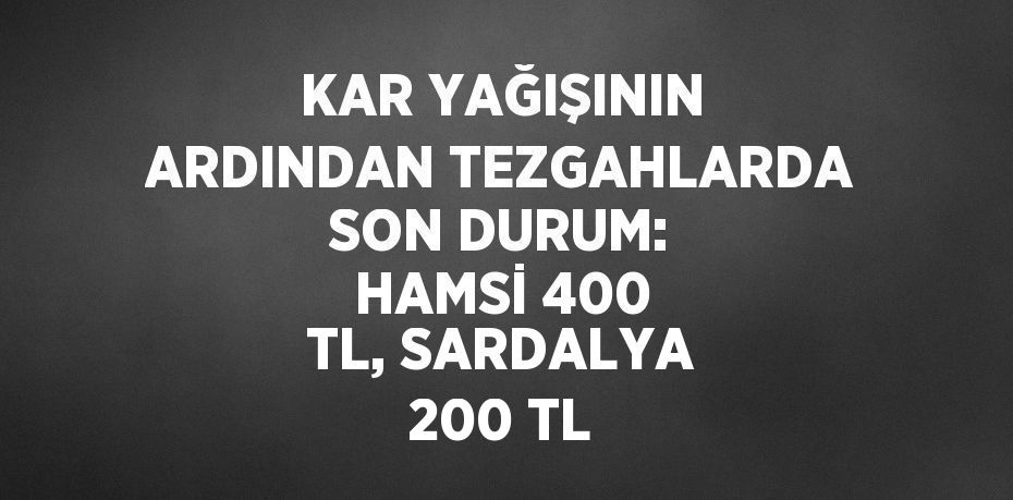 KAR YAĞIŞININ ARDINDAN TEZGAHLARDA SON DURUM: HAMSİ 400 TL, SARDALYA 200 TL