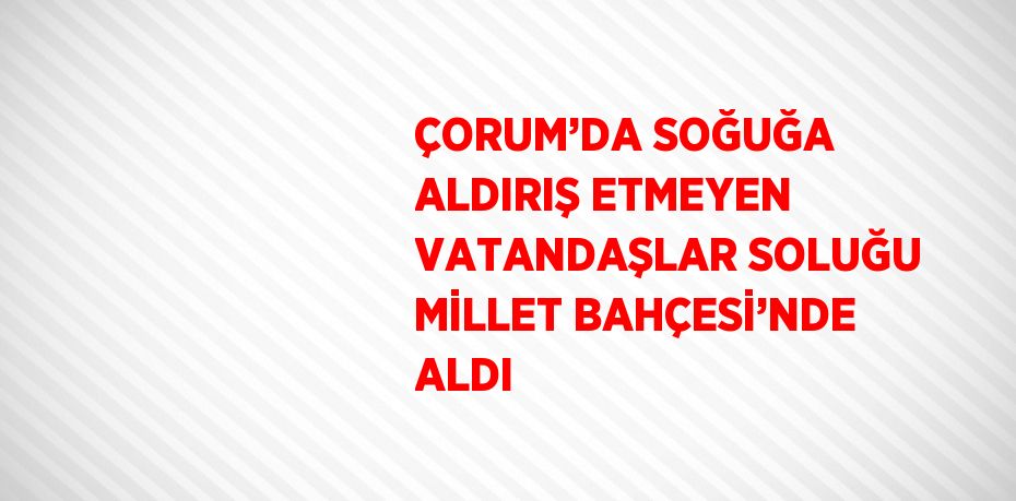 ÇORUM’DA SOĞUĞA ALDIRIŞ ETMEYEN VATANDAŞLAR SOLUĞU MİLLET BAHÇESİ’NDE ALDI