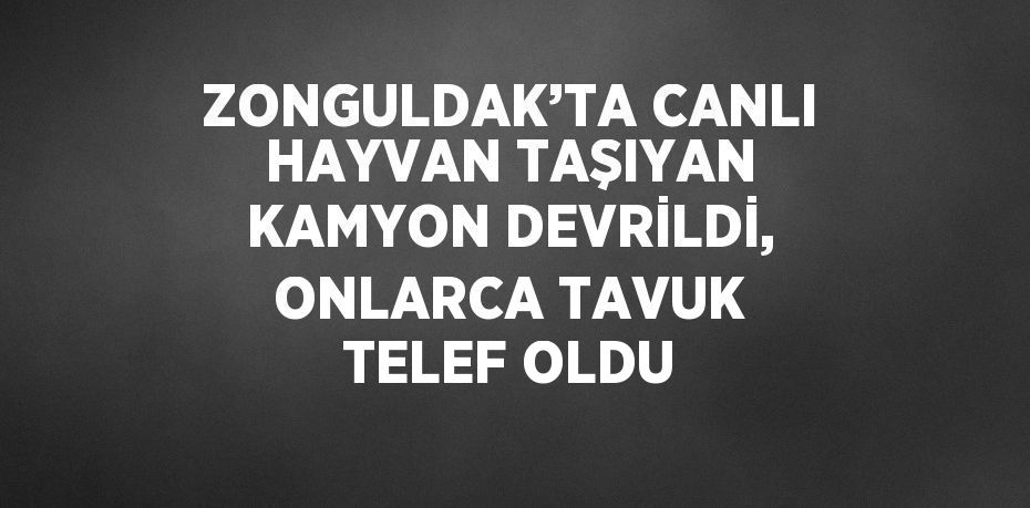 ZONGULDAK’TA CANLI HAYVAN TAŞIYAN KAMYON DEVRİLDİ, ONLARCA TAVUK TELEF OLDU