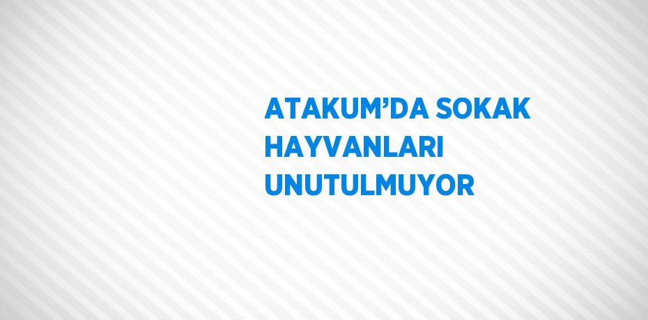 ATAKUM’DA SOKAK HAYVANLARI UNUTULMUYOR