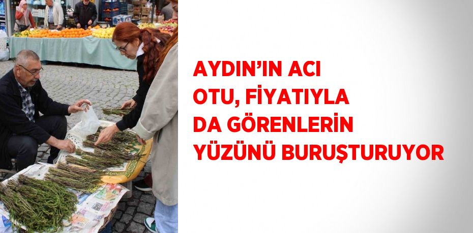 AYDIN’IN ACI OTU, FİYATIYLA DA GÖRENLERİN YÜZÜNÜ BURUŞTURUYOR