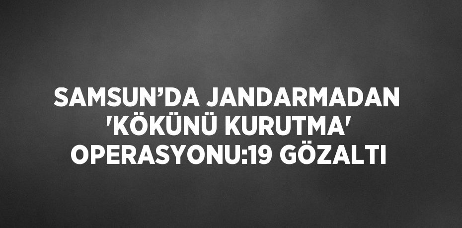 SAMSUN’DA JANDARMADAN 'KÖKÜNÜ KURUTMA' OPERASYONU:19 GÖZALTI