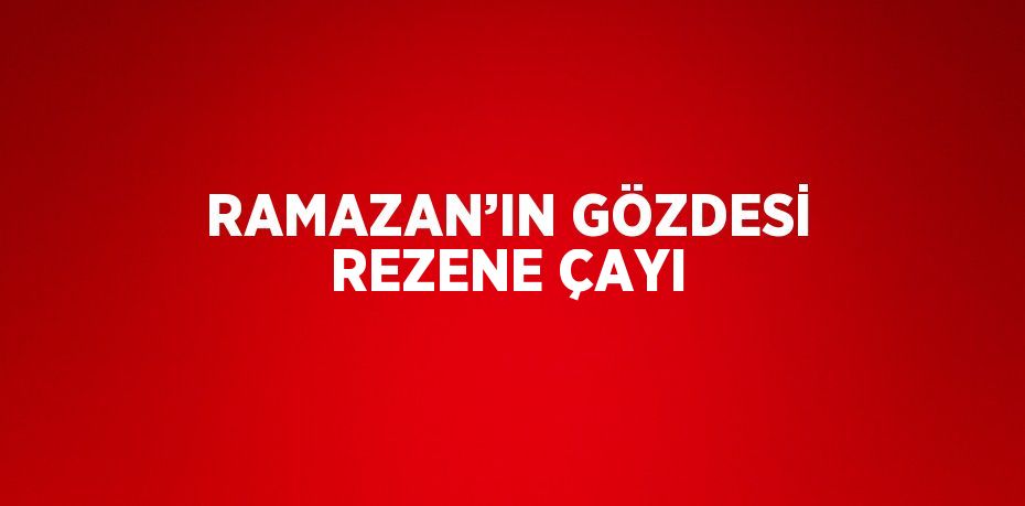 RAMAZAN’IN GÖZDESİ REZENE ÇAYI