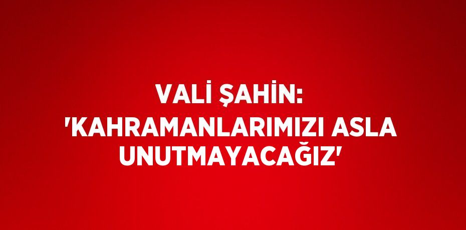 VALİ ŞAHİN: 'KAHRAMANLARIMIZI ASLA UNUTMAYACAĞIZ'