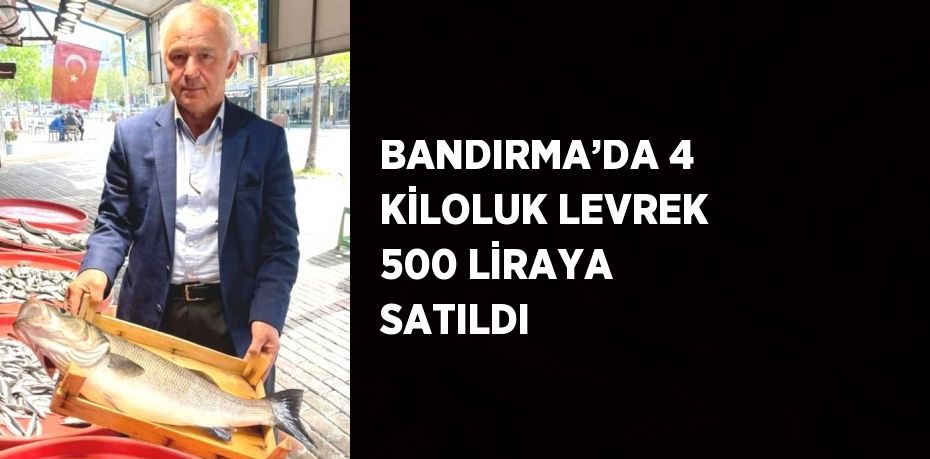 BANDIRMA’DA 4 KİLOLUK LEVREK 500 LİRAYA SATILDI