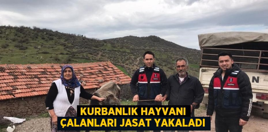 KURBANLIK HAYVANI ÇALANLARI JASAT YAKALADI