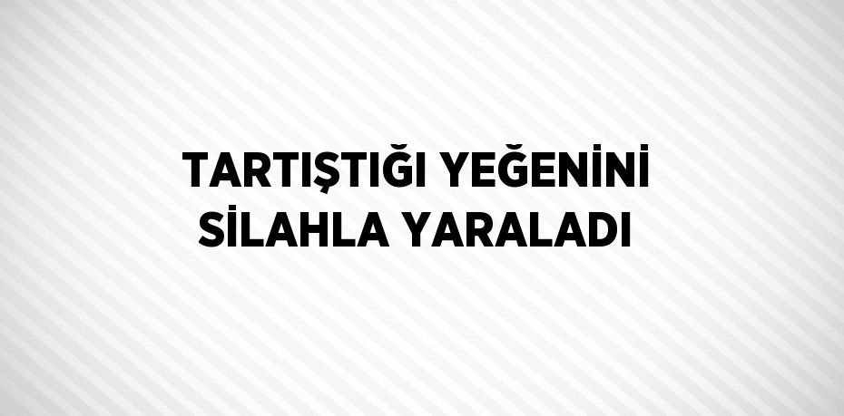 TARTIŞTIĞI YEĞENİNİ SİLAHLA YARALADI