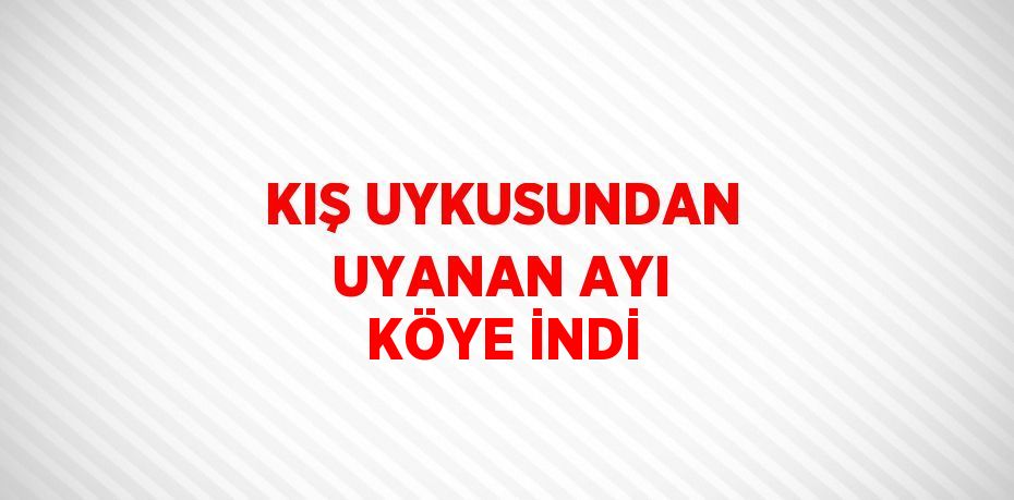 KIŞ UYKUSUNDAN UYANAN AYI KÖYE İNDİ