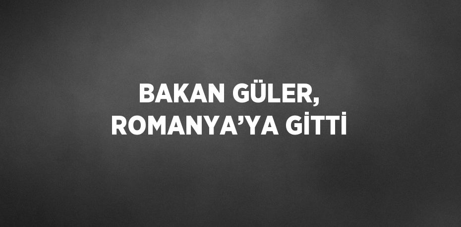 BAKAN GÜLER, ROMANYA’YA GİTTİ