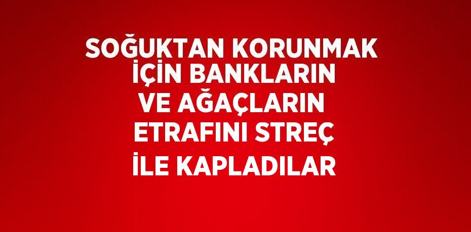 SOĞUKTAN KORUNMAK İÇİN BANKLARIN VE AĞAÇLARIN ETRAFINI STREÇ İLE KAPLADILAR