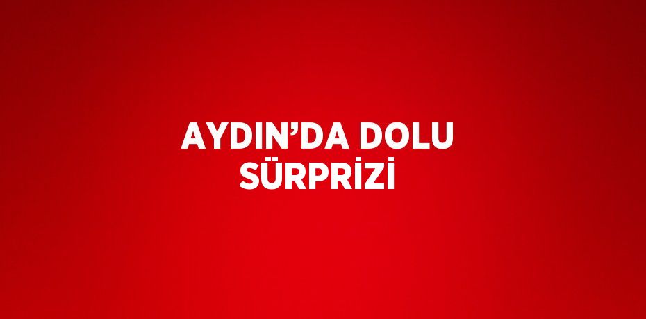 AYDIN’DA DOLU SÜRPRİZİ