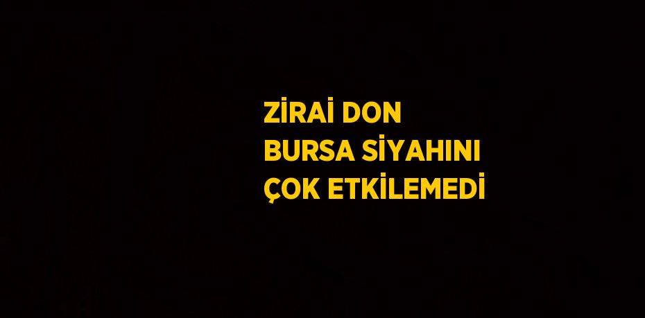 ZİRAİ DON BURSA SİYAHINI ÇOK ETKİLEMEDİ