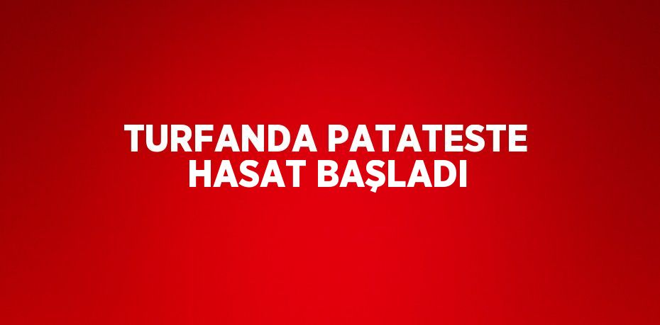 TURFANDA PATATESTE HASAT BAŞLADI