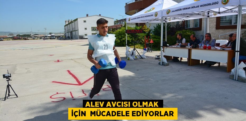 ALEV AVCISI OLMAK İÇİN  MÜCADELE EDİYORLAR