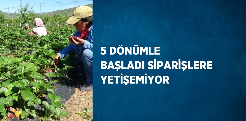 5 DÖNÜMLE BAŞLADI SİPARİŞLERE YETİŞEMİYOR