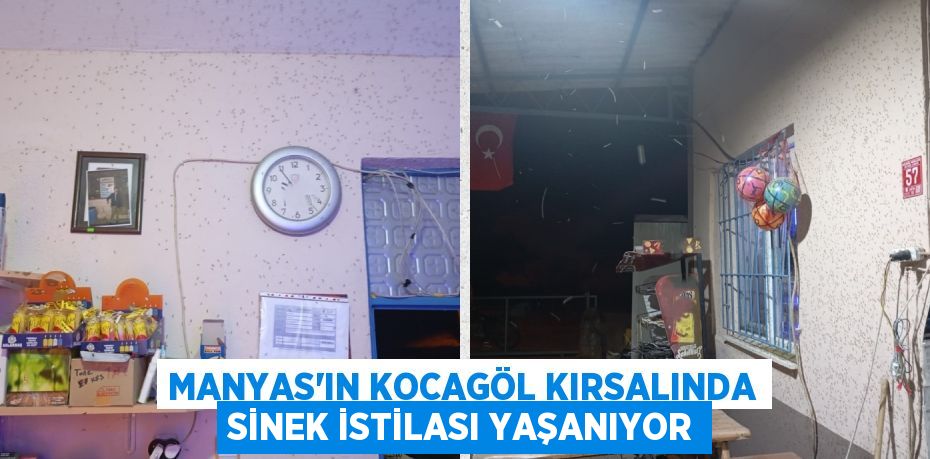 MANYAS'IN KOCAGÖL KIRSALINDA SİNEK İSTİLASI YAŞANIYOR