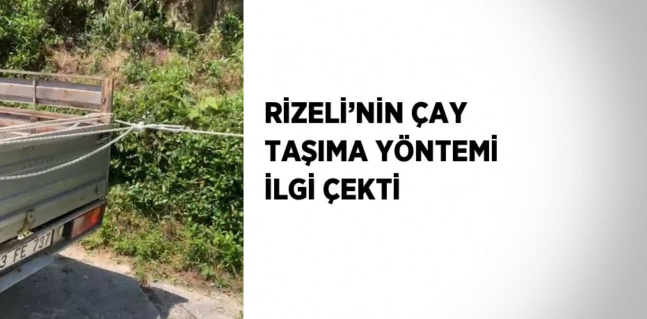 RİZELİ’NİN ÇAY TAŞIMA YÖNTEMİ İLGİ ÇEKTİ