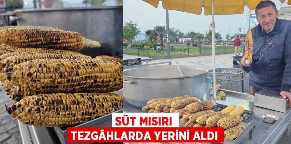 SÜT MISIRI TEZGÂHLARDA YERİNİ ALDI