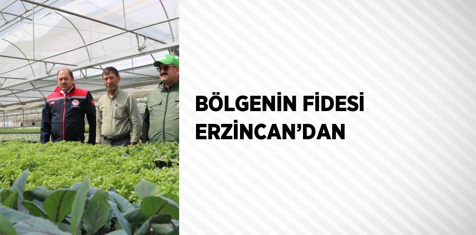 BÖLGENİN FİDESİ ERZİNCAN’DAN