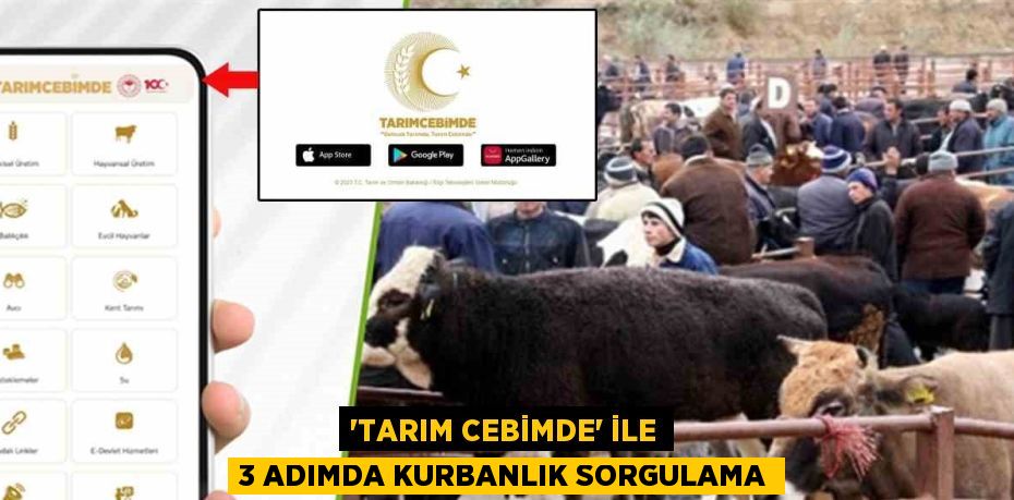 'TARIM CEBİMDE' İLE 3 ADIMDA KURBANLIK SORGULAMA