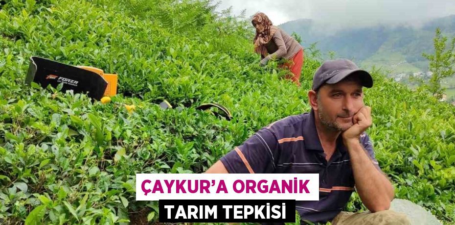 ÇAYKUR’A ORGANİK TARIM TEPKİSİ