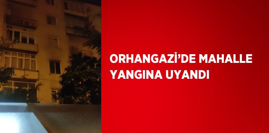 ORHANGAZİ’DE MAHALLE YANGINA UYANDI