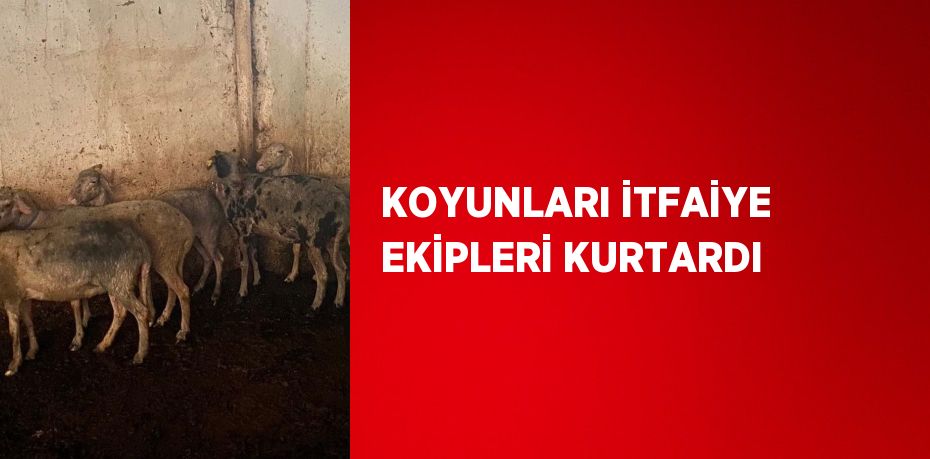 KOYUNLARI İTFAİYE EKİPLERİ KURTARDI