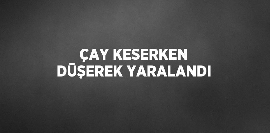 ÇAY KESERKEN DÜŞEREK YARALANDI