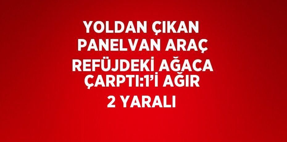 YOLDAN ÇIKAN PANELVAN ARAÇ REFÜJDEKİ AĞACA ÇARPTI:1’İ AĞIR 2 YARALI