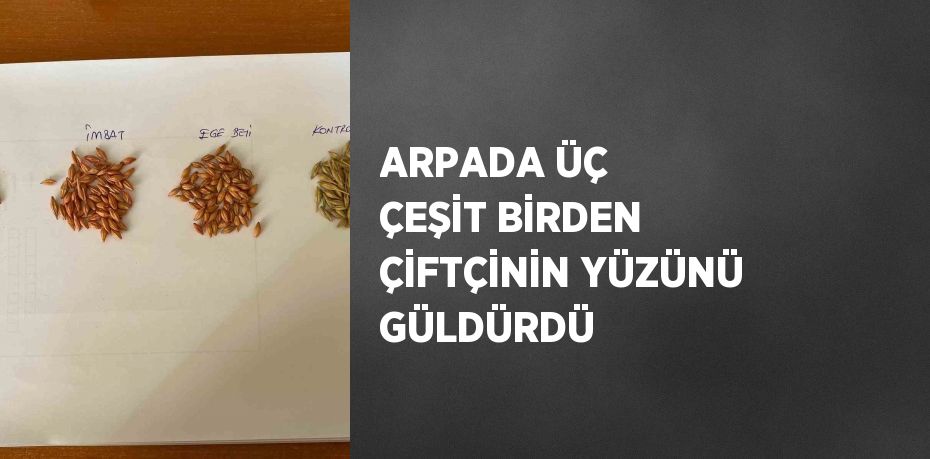 ARPADA ÜÇ ÇEŞİT BİRDEN ÇİFTÇİNİN YÜZÜNÜ GÜLDÜRDÜ