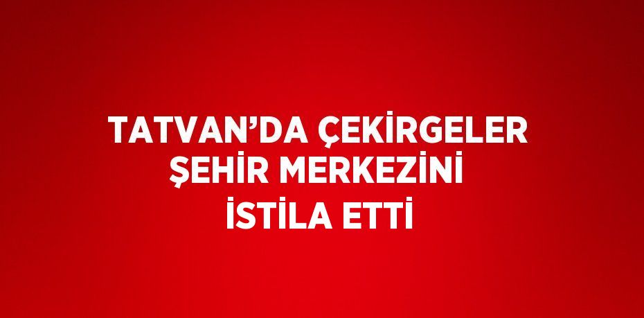 TATVAN’DA ÇEKİRGELER ŞEHİR MERKEZİNİ İSTİLA ETTİ