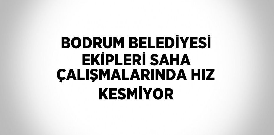 BODRUM BELEDİYESİ EKİPLERİ SAHA ÇALIŞMALARINDA HIZ KESMİYOR