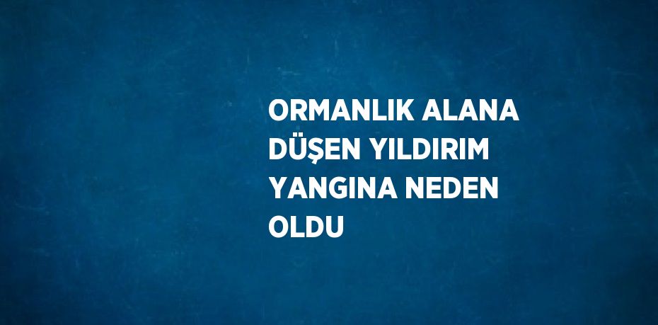 ORMANLIK ALANA DÜŞEN YILDIRIM YANGINA NEDEN OLDU