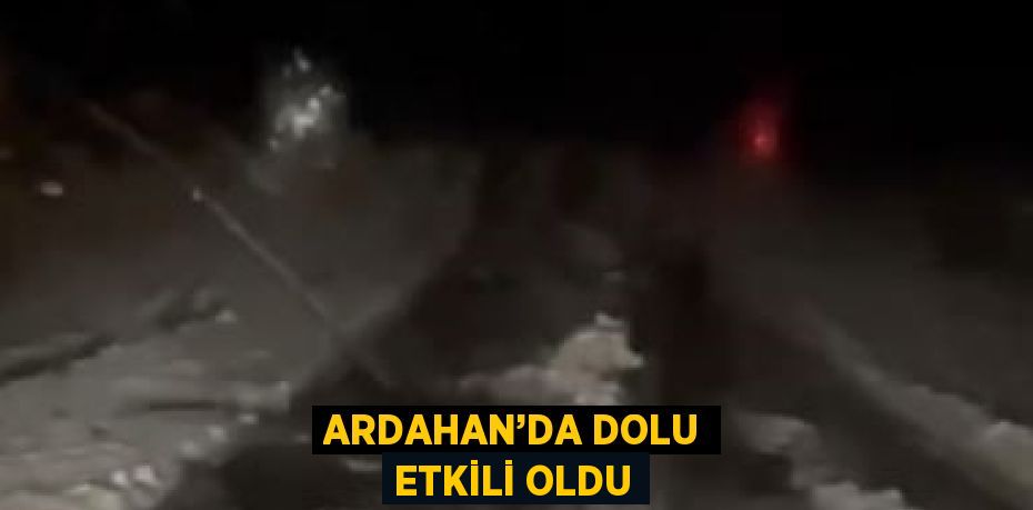 ARDAHAN’DA DOLU ETKİLİ OLDU