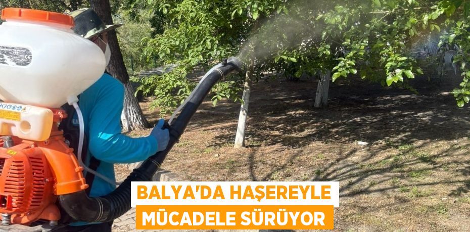 BALYA’DA HAŞEREYLE MÜCADELE SÜRÜYOR