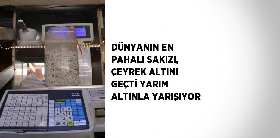 DÜNYANIN EN PAHALI SAKIZI, ÇEYREK ALTINI GEÇTİ YARIM ALTINLA YARIŞIYOR