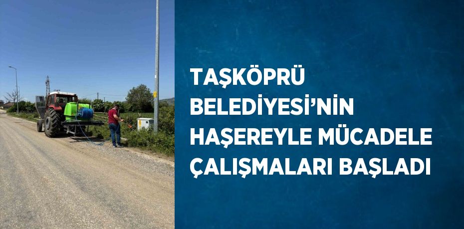 TAŞKÖPRÜ BELEDİYESİ’NİN HAŞEREYLE MÜCADELE ÇALIŞMALARI BAŞLADI