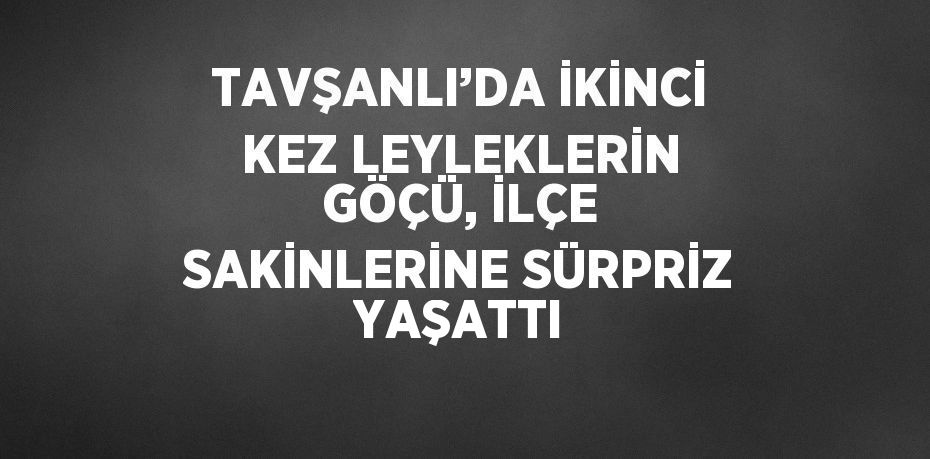 TAVŞANLI’DA İKİNCİ KEZ LEYLEKLERİN GÖÇÜ, İLÇE SAKİNLERİNE SÜRPRİZ YAŞATTI