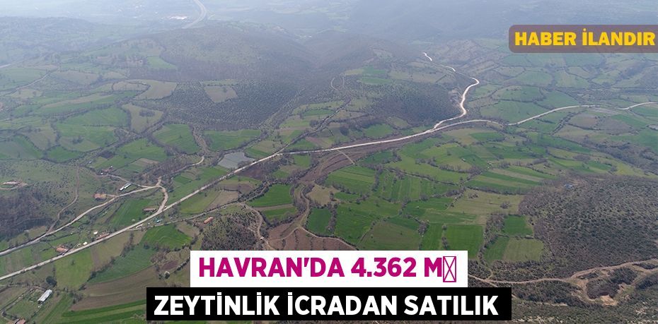 Havran'da 4.362 m² zeytinlik icradan satılık