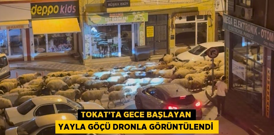 TOKAT’TA GECE BAŞLAYAN YAYLA GÖÇÜ DRONLA GÖRÜNTÜLENDİ