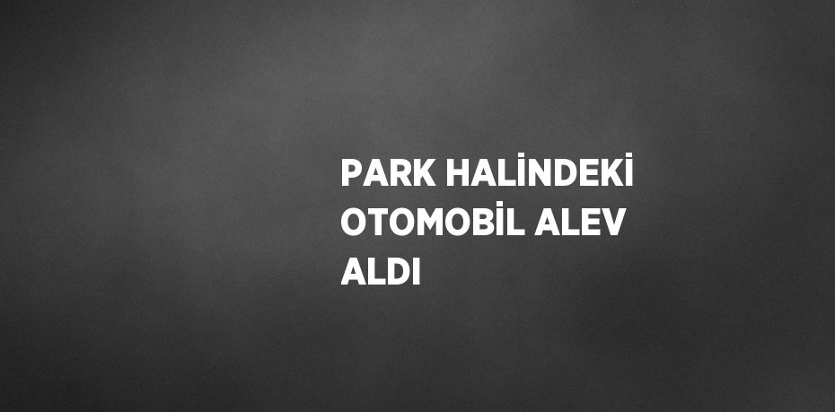 PARK HALİNDEKİ OTOMOBİL ALEV ALDI