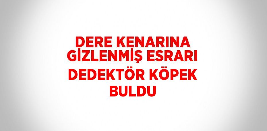 DERE KENARINA GİZLENMİŞ ESRARI DEDEKTÖR KÖPEK BULDU