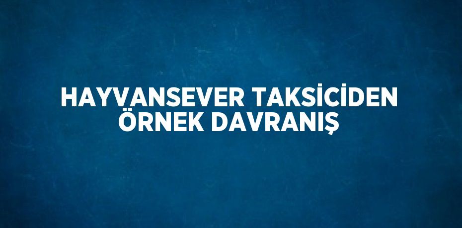 HAYVANSEVER TAKSİCİDEN ÖRNEK DAVRANIŞ