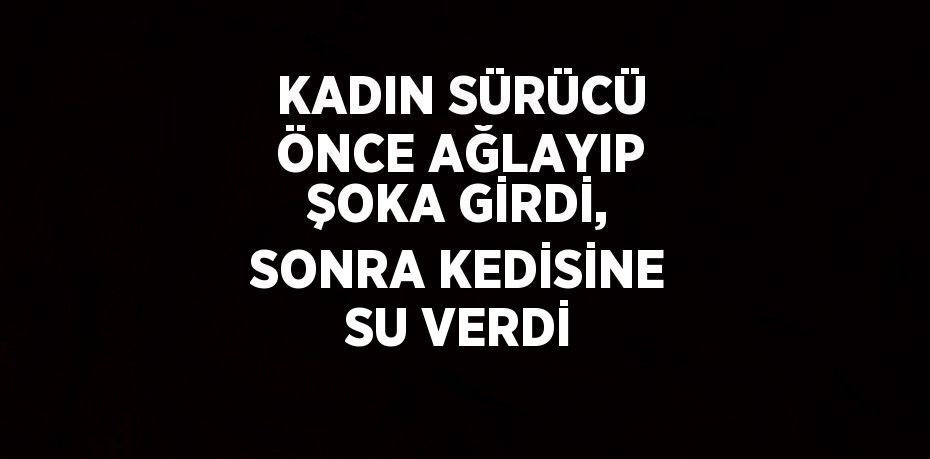 KADIN SÜRÜCÜ ÖNCE AĞLAYIP ŞOKA GİRDİ, SONRA KEDİSİNE SU VERDİ